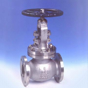 Stainless Steel Globe Valve, 1/2-24 Inch, BW