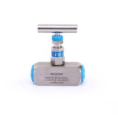 Stainless Steel Needle Valve, 6000 PSI, DN20, Threaded End