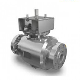 Subsea Ball Valve Trunnion