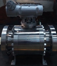 Trunnion Ball Valve, F304, Nace MR0175