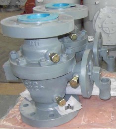 WCB Ball Valve, RPTFE Seat, 2PC