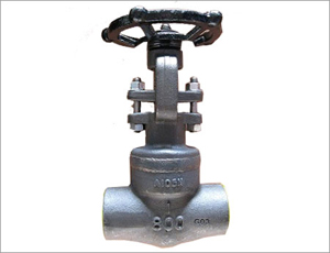 Welded Bonnet Gate Valve, ANSI A105N, NPT